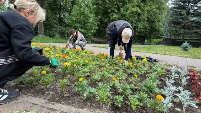 В сквере Победы в Дзержинском проходят работы по благоустройству и озеленению
