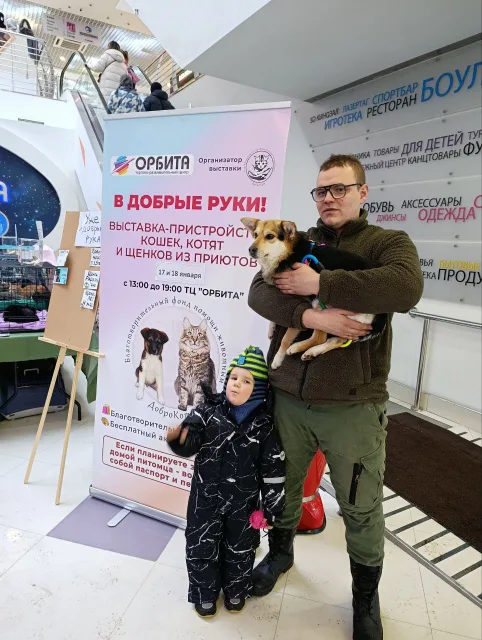 Семь собак и пять кошек нашли хозяев на благотворительной выставке в Люберцах