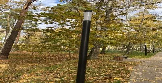 В парке поселка Люберец заменили плафоны на фонарях