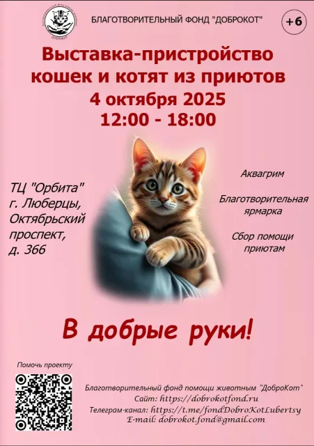 Выставка-пристройство кошек и котят из приютов пройдет в Люберцах